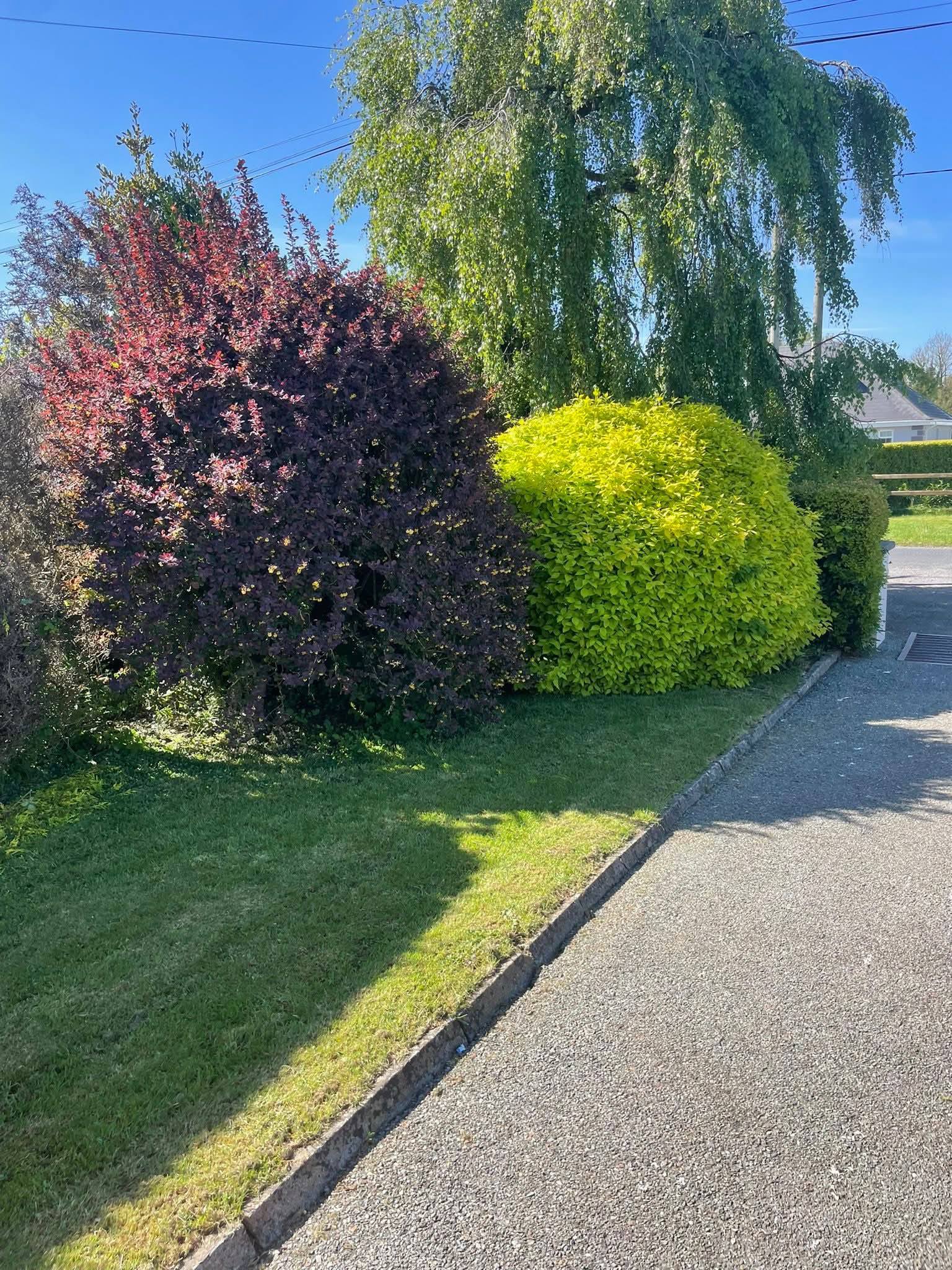 Landscaping